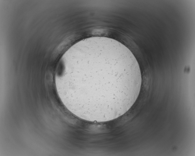 X0000113150375200910021508