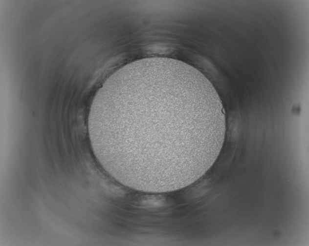 X0000113150377200910021508