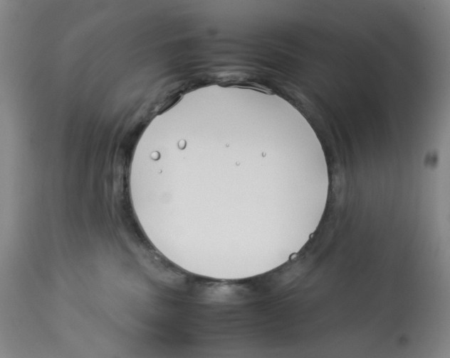 X0000113150379200910021508