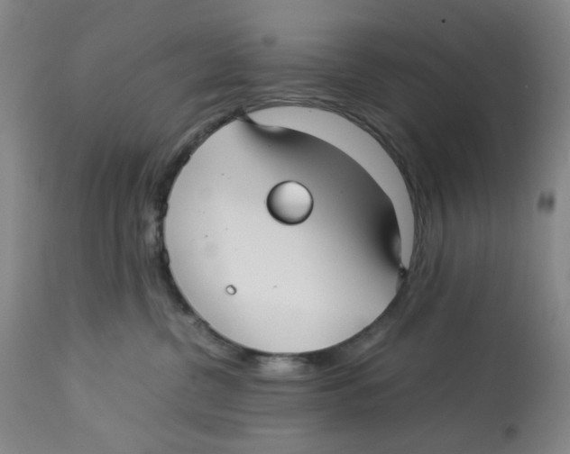 X0000113150380200910021508