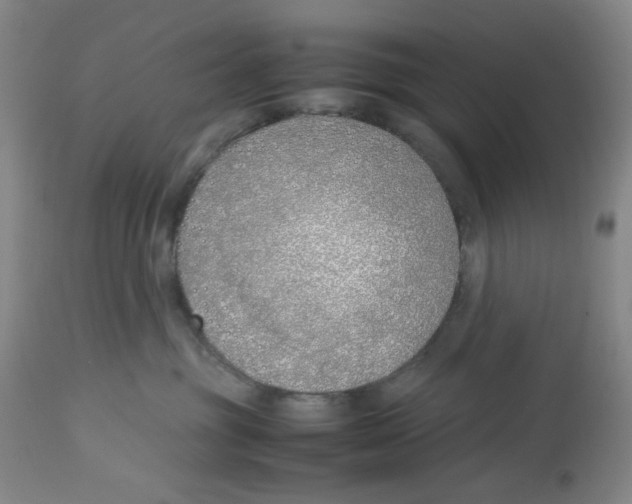 X0000113150381200910021508