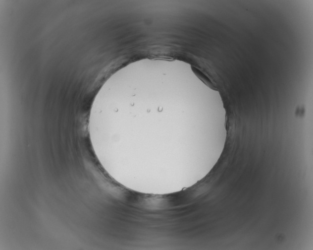 X0000113150383200910021508