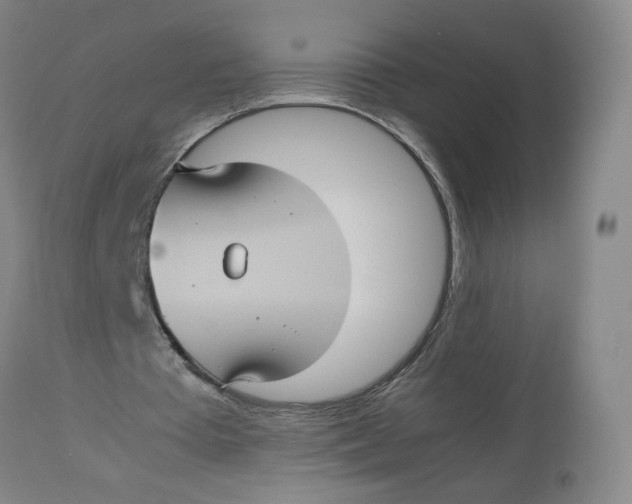 X0000113150385200910021508