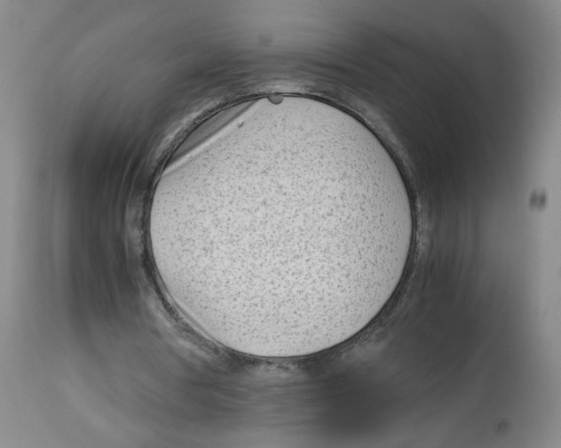 X0000113150386200910021508