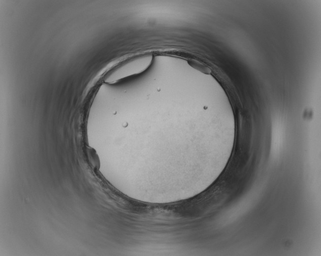 X0000113150387200910021507