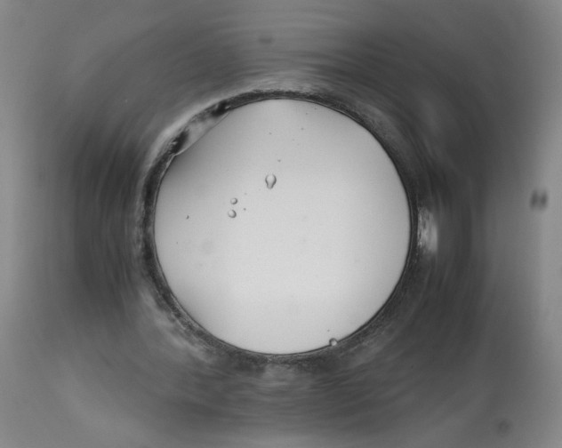 X0000113150388200910021507