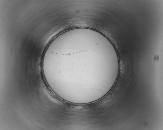 X0000113150390200910021507