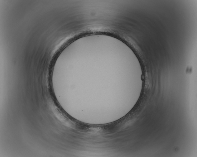 X0000113150391200910021507