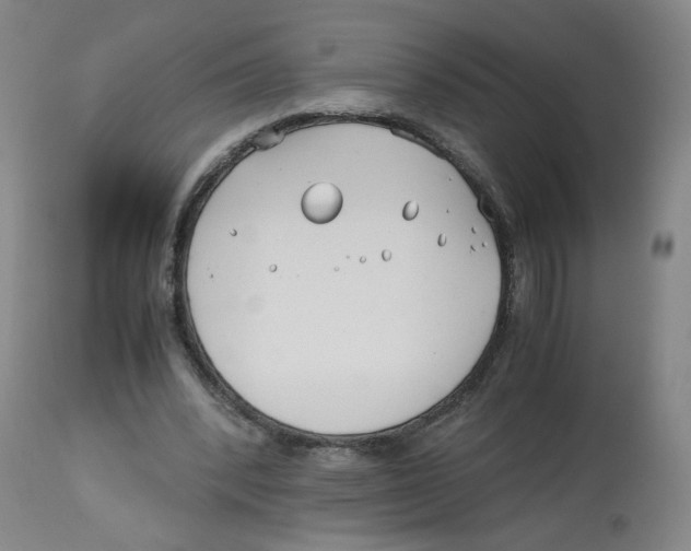 X0000113150392200910021507