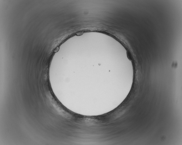 X0000113150393200910021507