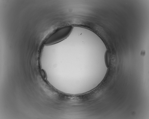 X0000113150395200910021507