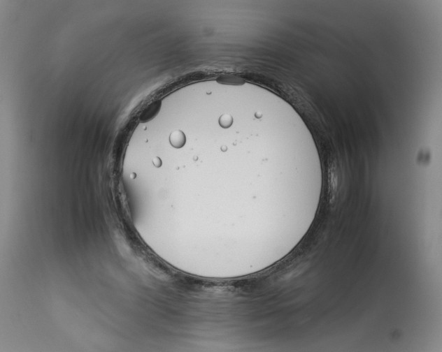 X0000113150396200910021507