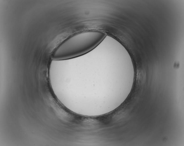 X0000113150397200910021507