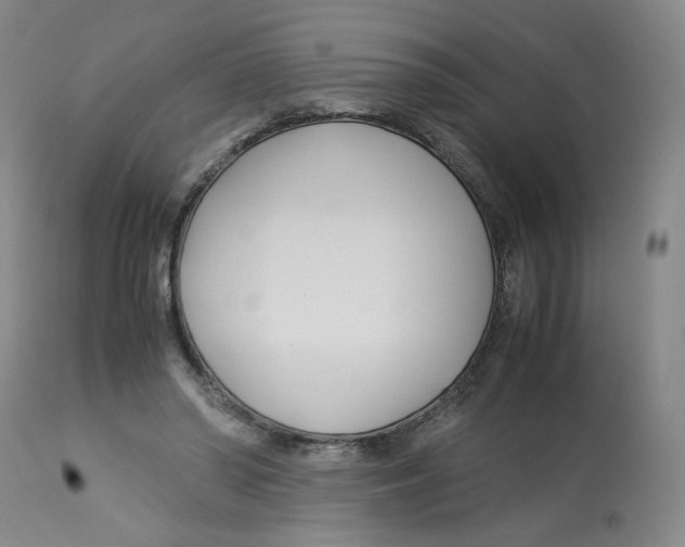 X0000113150398200910021507