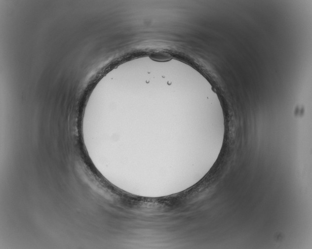 X0000113150399200910021507