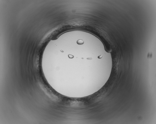 X0000113150400200910021507