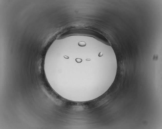 X0000113150404200910021507