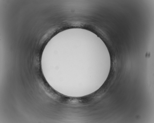 X0000113150407200910021507