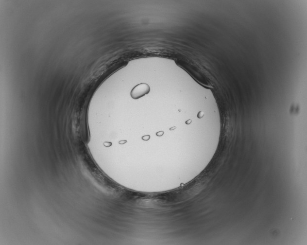 X0000113150408200910021507