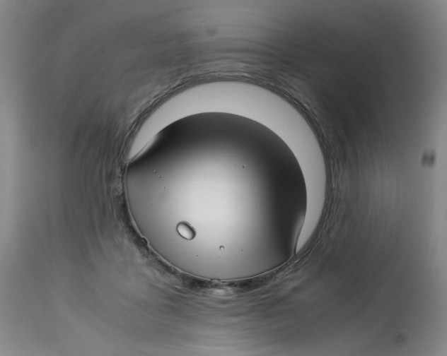 X0000113150411200910021507