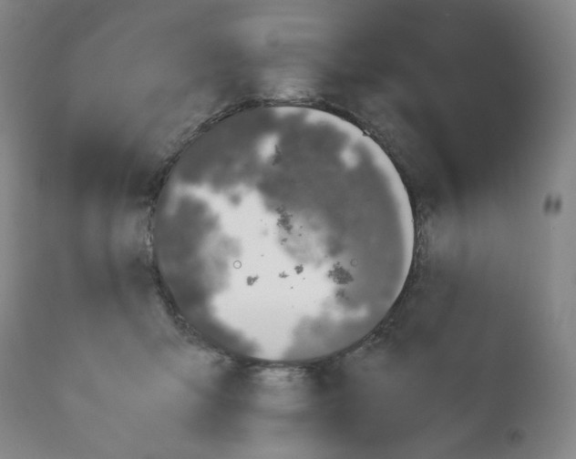 X0000113150415200910021507