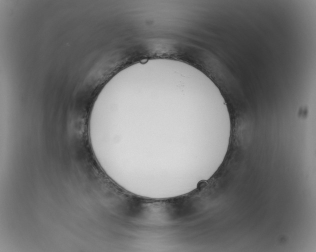 X0000113150417200910021507