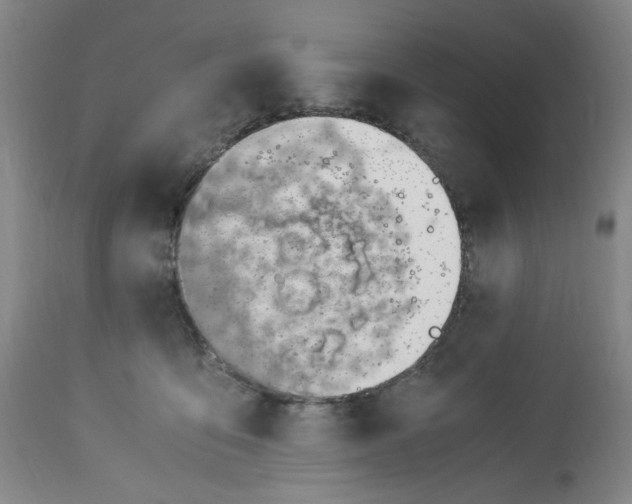 X0000113150419200910021507