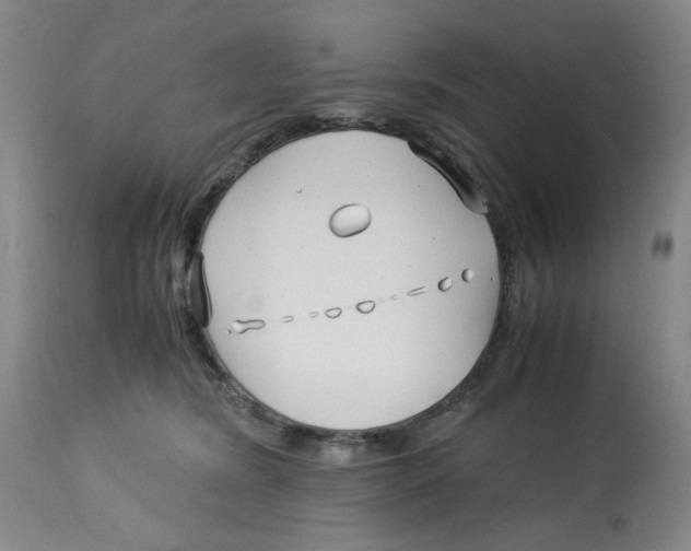 X0000113150420200910021507