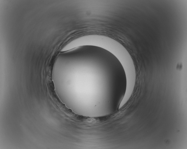 X0000113150421200910021507