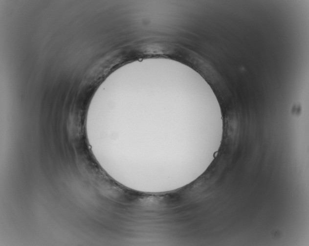 X0000113150422200910021507