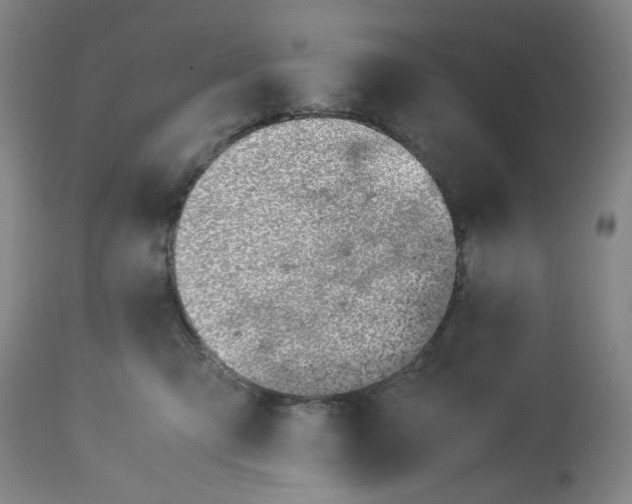 X0000113150423200910021507