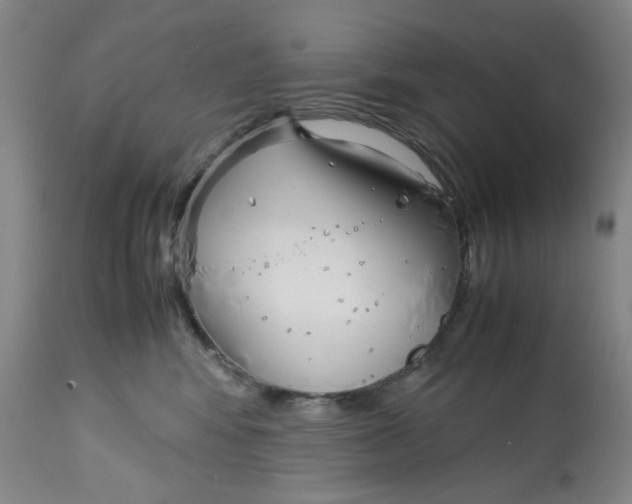 X0000113150424200910021507