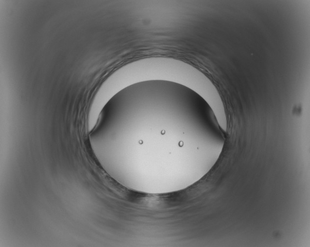 X0000113150425200910021507