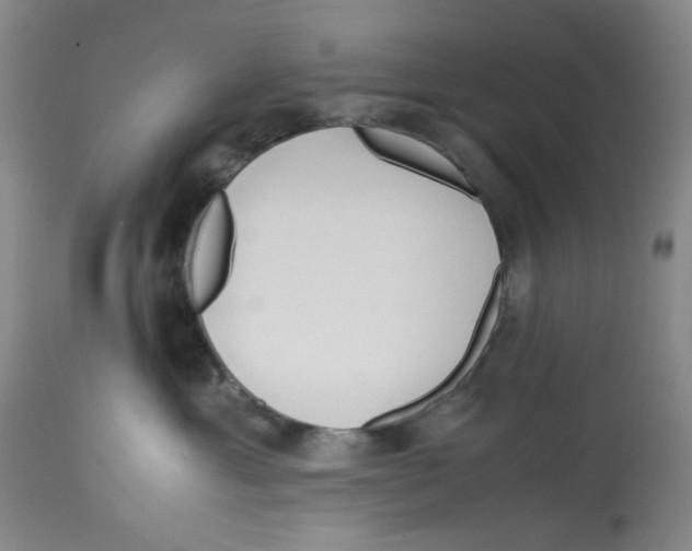 X0000113150429200910021507