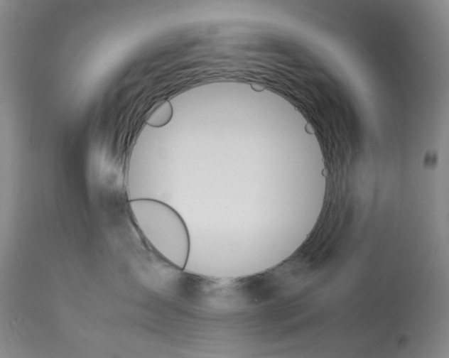 X0000113150431200910021507