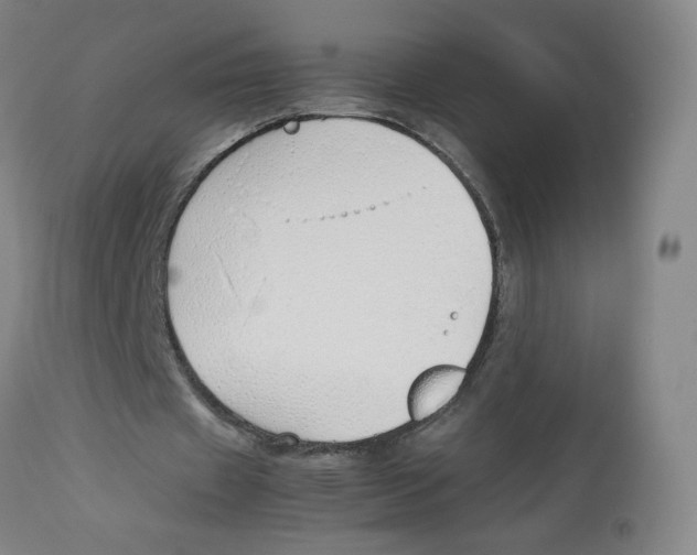 X0000113150433200910021506