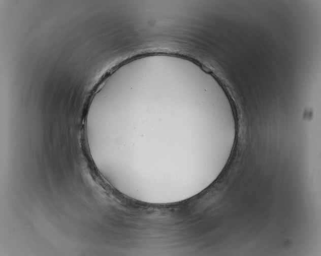 X0000113150434200910021506