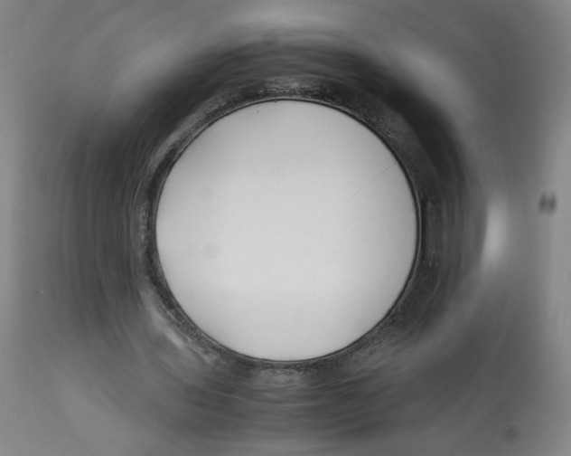 X0000113150435200910021506