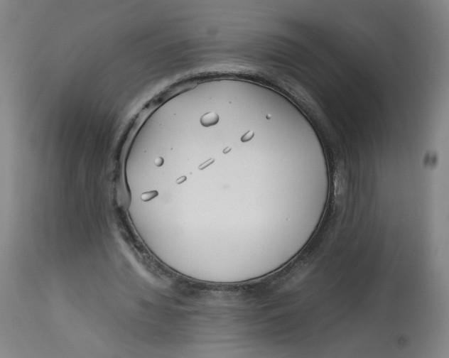 X0000113150436200910021506