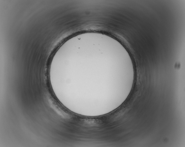 X0000113150439200910021506