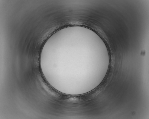 X0000113150441200910021506