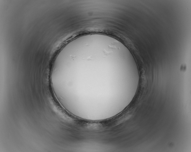 X0000113150446200910021506