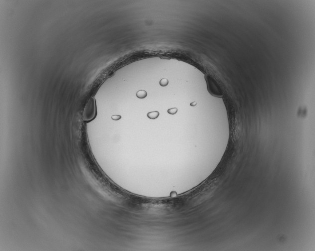 X0000113150448200910021506