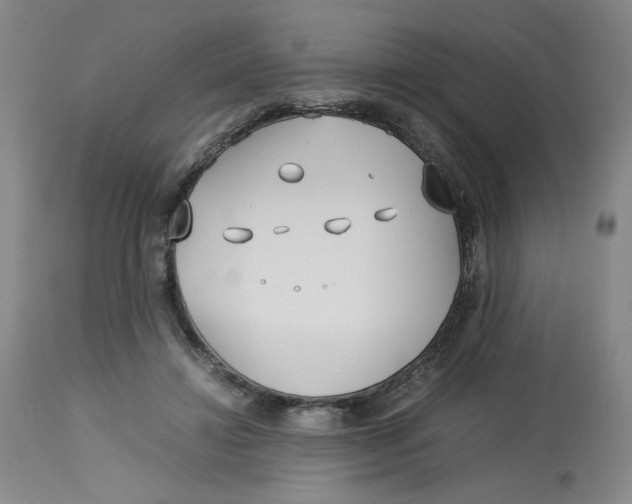 X0000113150452200910021506