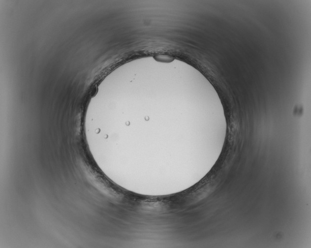 X0000113150454200910021506