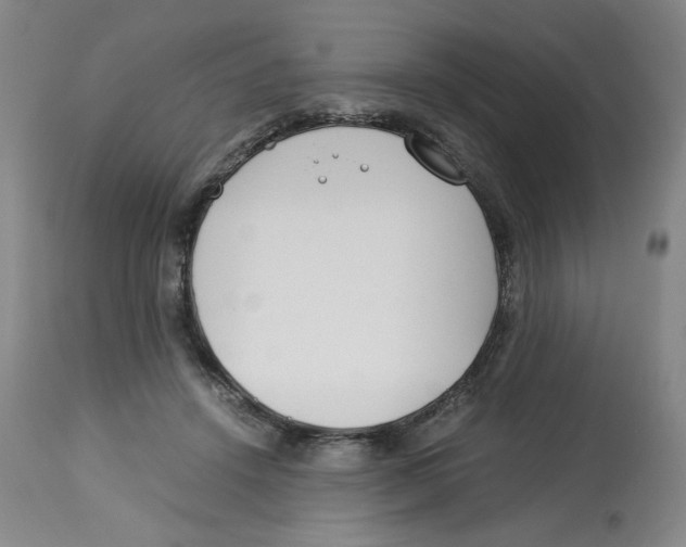 X0000113150456200910021506