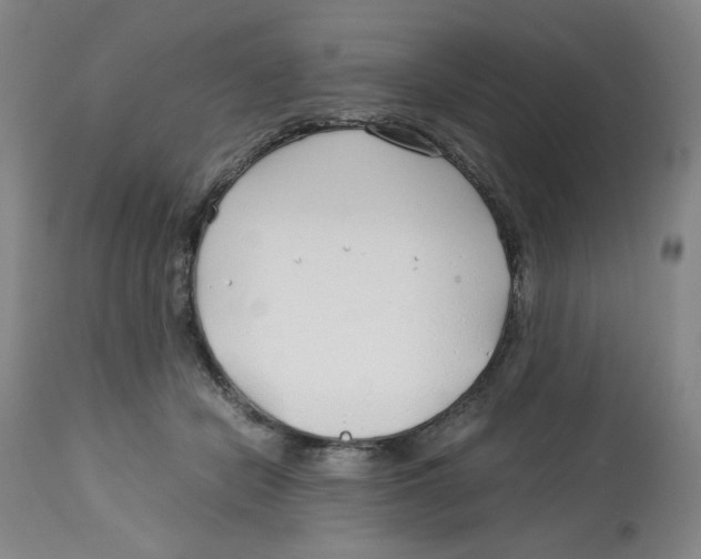 X0000113150462200910021506