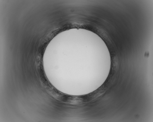 X0000113150463200910021506