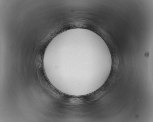 X0000113150465200910021506