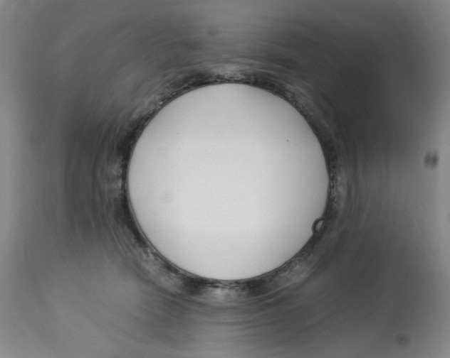 X0000113150466200910021506